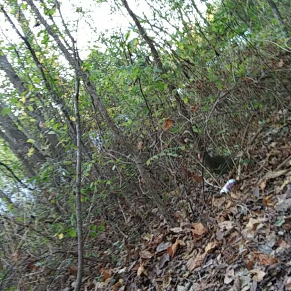 Meet your Posher, Mitchell - Picture 1 of 1